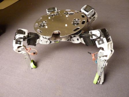 mP1000772_1365x1024.jpg, Feb 2011 mP1000772_1365x1024.jpg